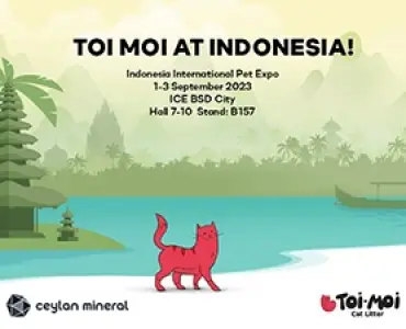 Toi Moi at Indonesia!